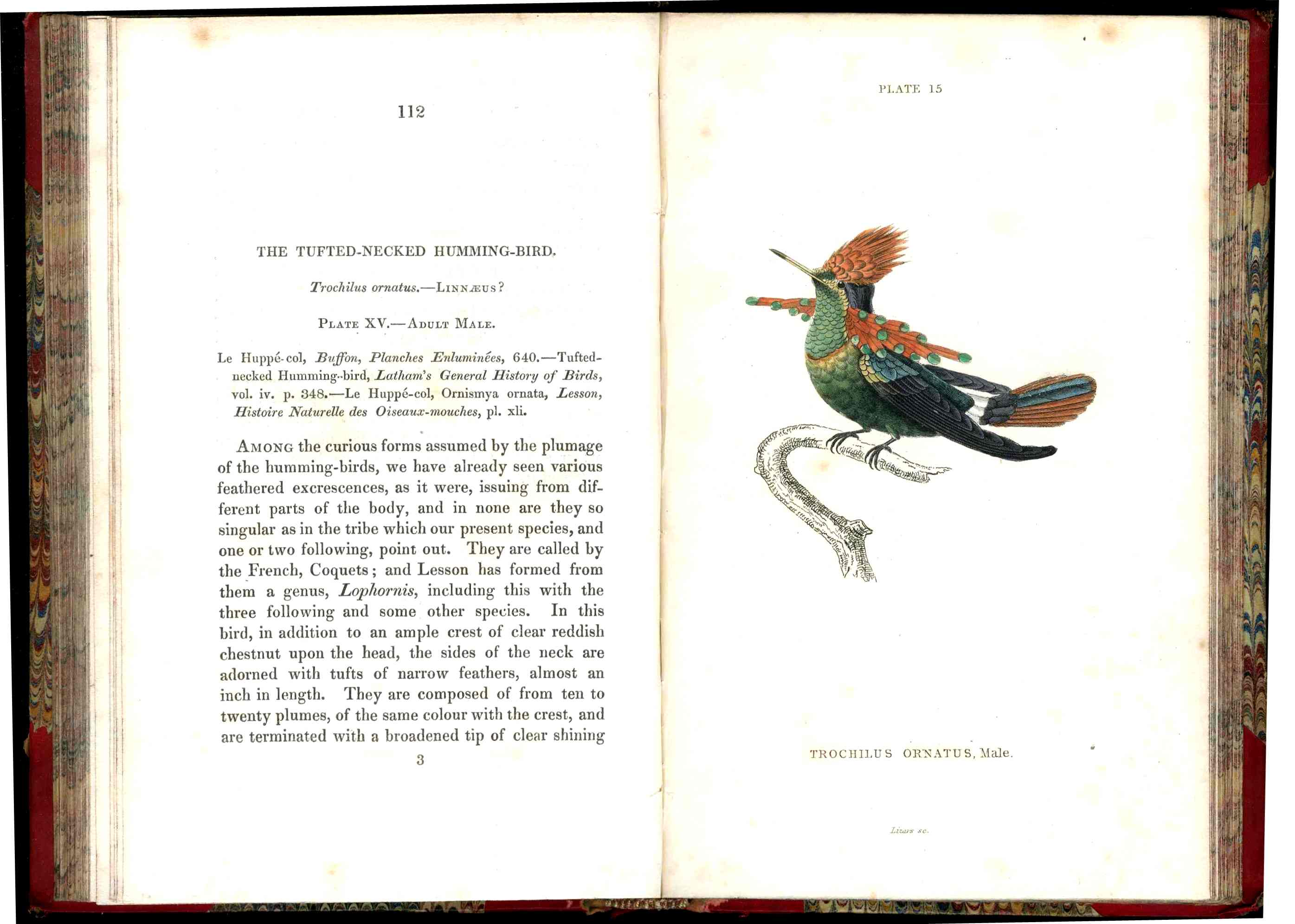 Jardine Naturalist's Library Ornithology Hummingbirds 1833, 2 Volumes 1st Edition