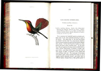 Jardine Naturalist's Library Ornithology Hummingbirds 1833, 2 Volumes 1st Edition