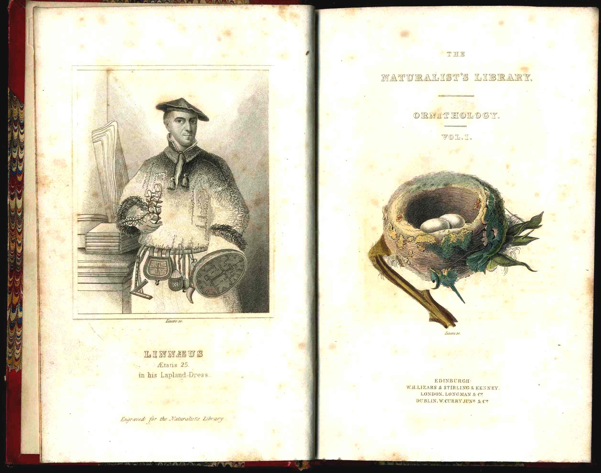 Jardine Naturalist's Library Ornithology Hummingbirds 1833, 2 Volumes 1st Edition