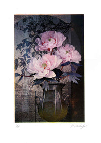 Katori Takeshi Three Peonies Japanese Mezzotint Print - Panteek Antique Prints