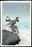 Koson Ohara 3 Plovers, Crescent Moon - Panteek Antique Prints