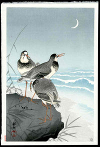 Koson Ohara 3 Plovers, Crescent Moon - Panteek Antique Prints