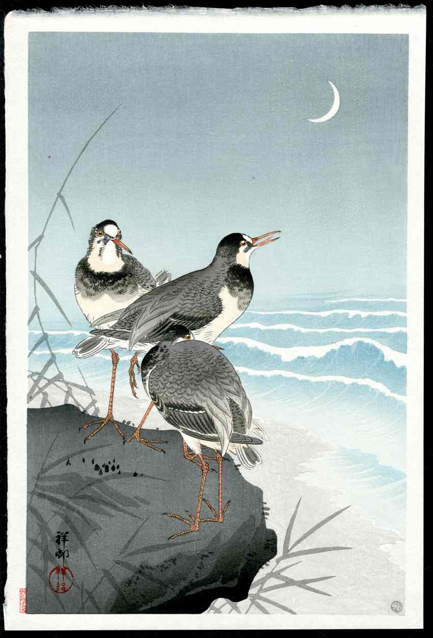Koson Ohara 3 Plovers, Crescent Moon