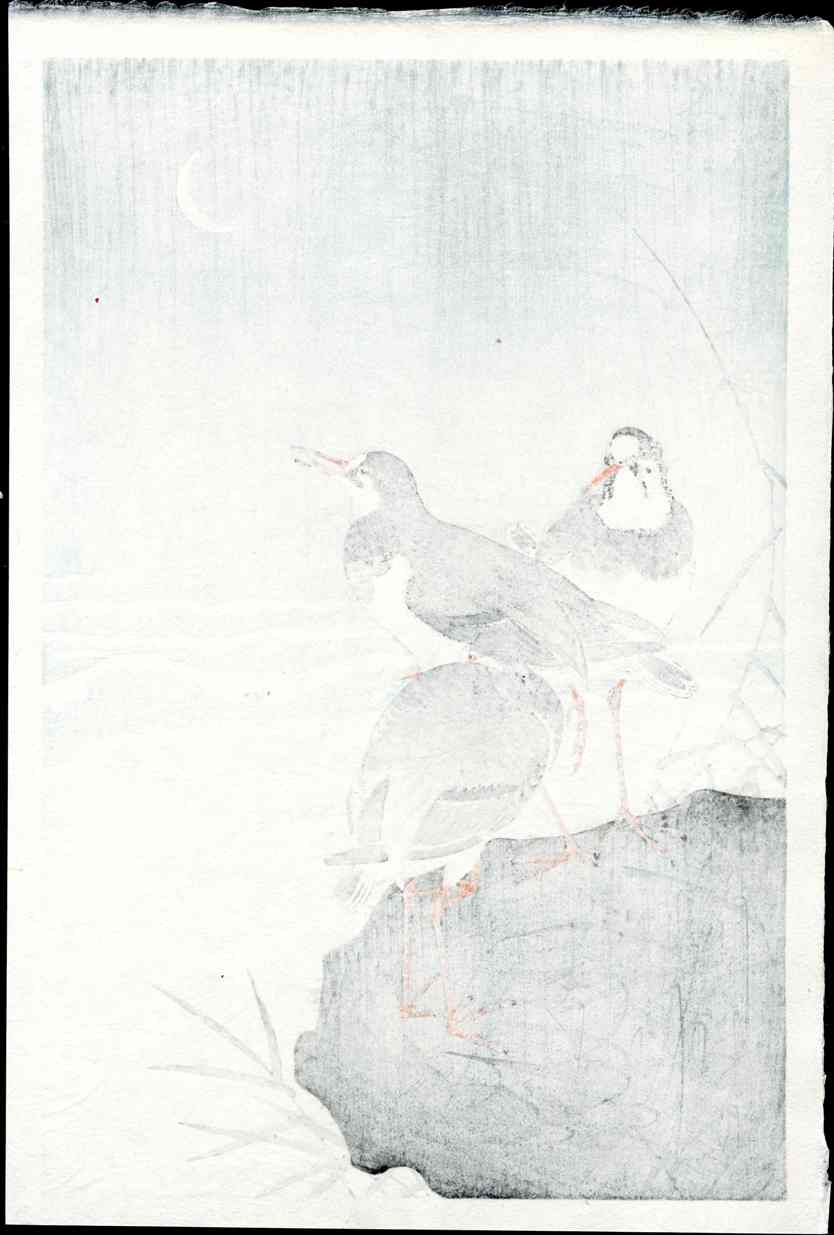 Koson Ohara 3 Plovers, Crescent Moon - Panteek Antique Prints