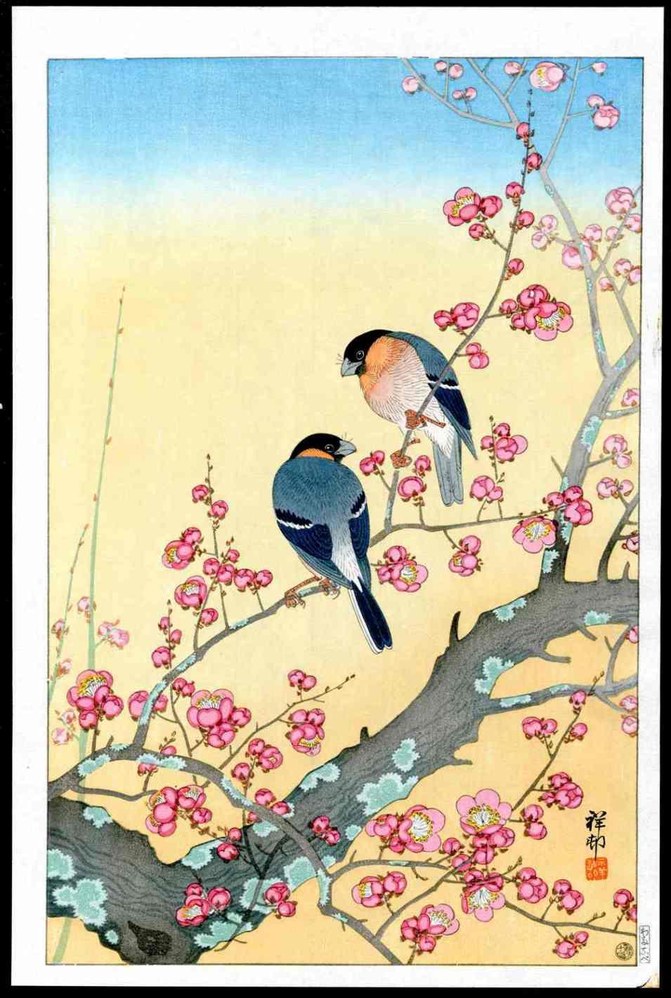 Koson Ohara Plum Blossoms, Japanese Nightingale