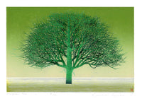 Kunio Kaneko Evergreen Tree 2009 - Panteek Antique Prints