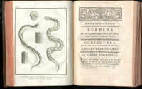 Histoire Naturelle  Des Serpens Conte De La Cepede, Cobra,Vipers, Fer de Lance Snakes - Panteek Antique Prints