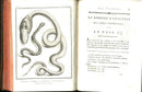 Histoire Naturelle  Des Serpens Conte De La Cepede, Cobra,Vipers, Fer de Lance Snakes - Panteek Antique Prints