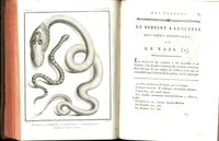 Histoire Naturelle  Des Serpens Conte De La Cepede, Cobra,Vipers, Fer de Lance Snakes - Panteek Antique Prints