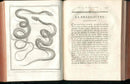 Histoire Naturelle  Des Serpens Conte De La Cepede, Cobra,Vipers, Fer de Lance Snakes - Panteek Antique Prints