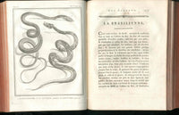 Histoire Naturelle  Des Serpens Conte De La Cepede, Cobra,Vipers, Fer de Lance Snakes - Panteek Antique Prints