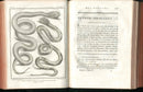 Histoire Naturelle  Des Serpens Conte De La Cepede, Cobra,Vipers, Fer de Lance Snakes - Panteek Antique Prints