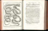 Histoire Naturelle  Des Serpens Conte De La Cepede, Cobra,Vipers, Fer de Lance Snakes - Panteek Antique Prints