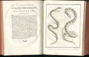 Histoire Naturelle  Des Serpens Conte De La Cepede, Cobra,Vipers, Fer de Lance Snakes - Panteek Antique Prints