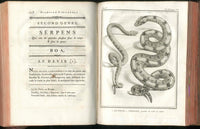 Histoire Naturelle  Des Serpens Conte De La Cepede, Cobra,Vipers, Fer de Lance Snakes - Panteek Antique Prints