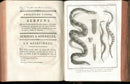 Histoire Naturelle  Des Serpens Conte De La Cepede, Cobra,Vipers, Fer de Lance Snakes - Panteek Antique Prints