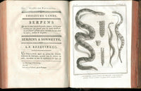 Histoire Naturelle  Des Serpens Conte De La Cepede, Cobra,Vipers, Fer de Lance Snakes - Panteek Antique Prints