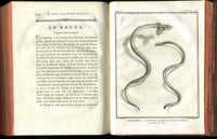 Histoire Naturelle  Des Serpens Conte De La Cepede, Cobra,Vipers, Fer de Lance Snakes - Panteek Antique Prints