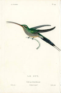 Lesson Hummingbird Le Guy LHB37