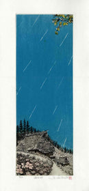 Hiroto Norikane Woodblock Print Rainy Season NKN4 - Panteek Antique Prints