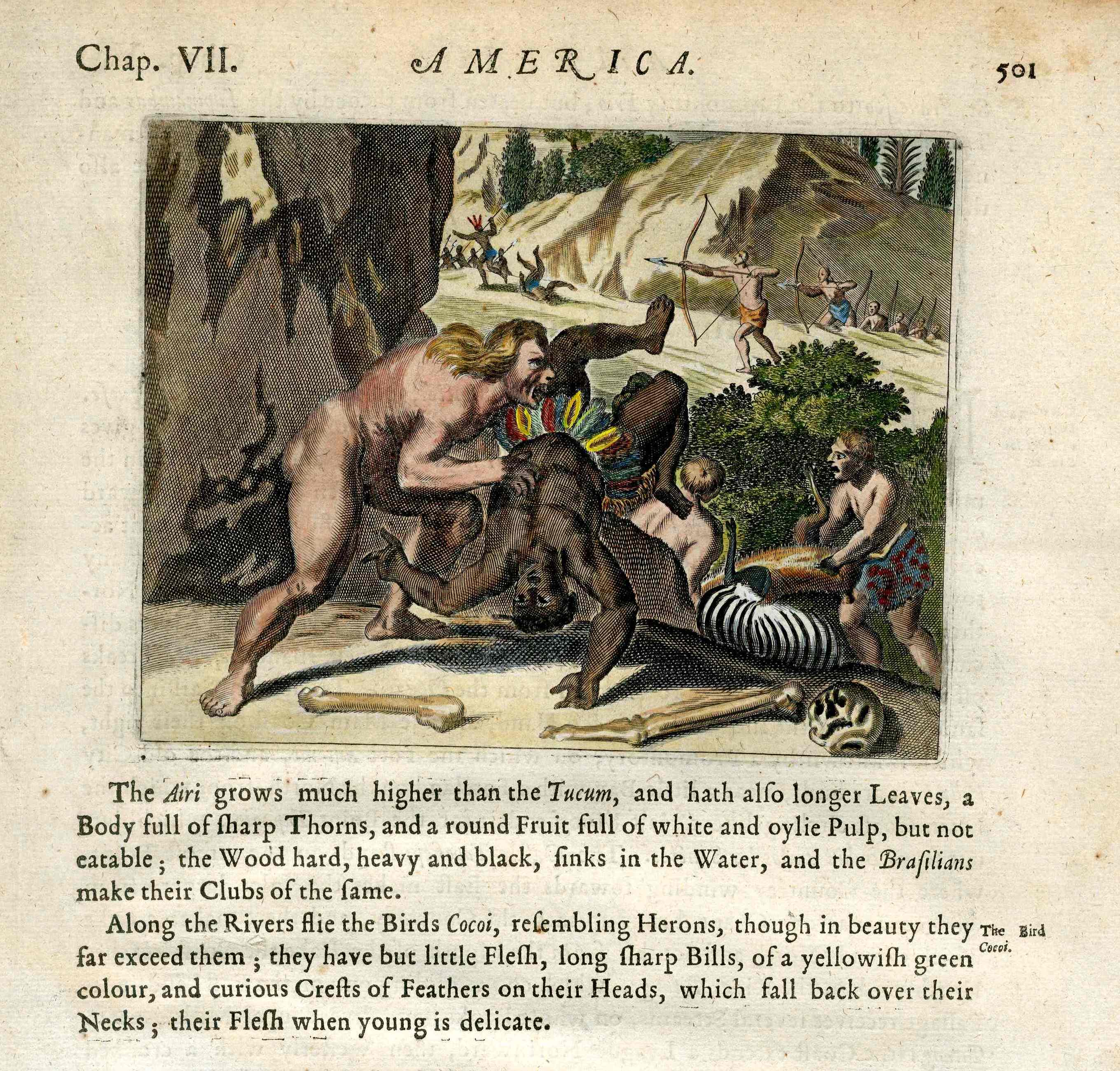 John Ogilby America 1671 Inca Island Brazil Mythical Beings,Battle