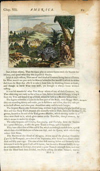 John Ogilby America 1671  Maragnan, Brazil Animals, Porcupine, Monkey - Panteek Antique Prints