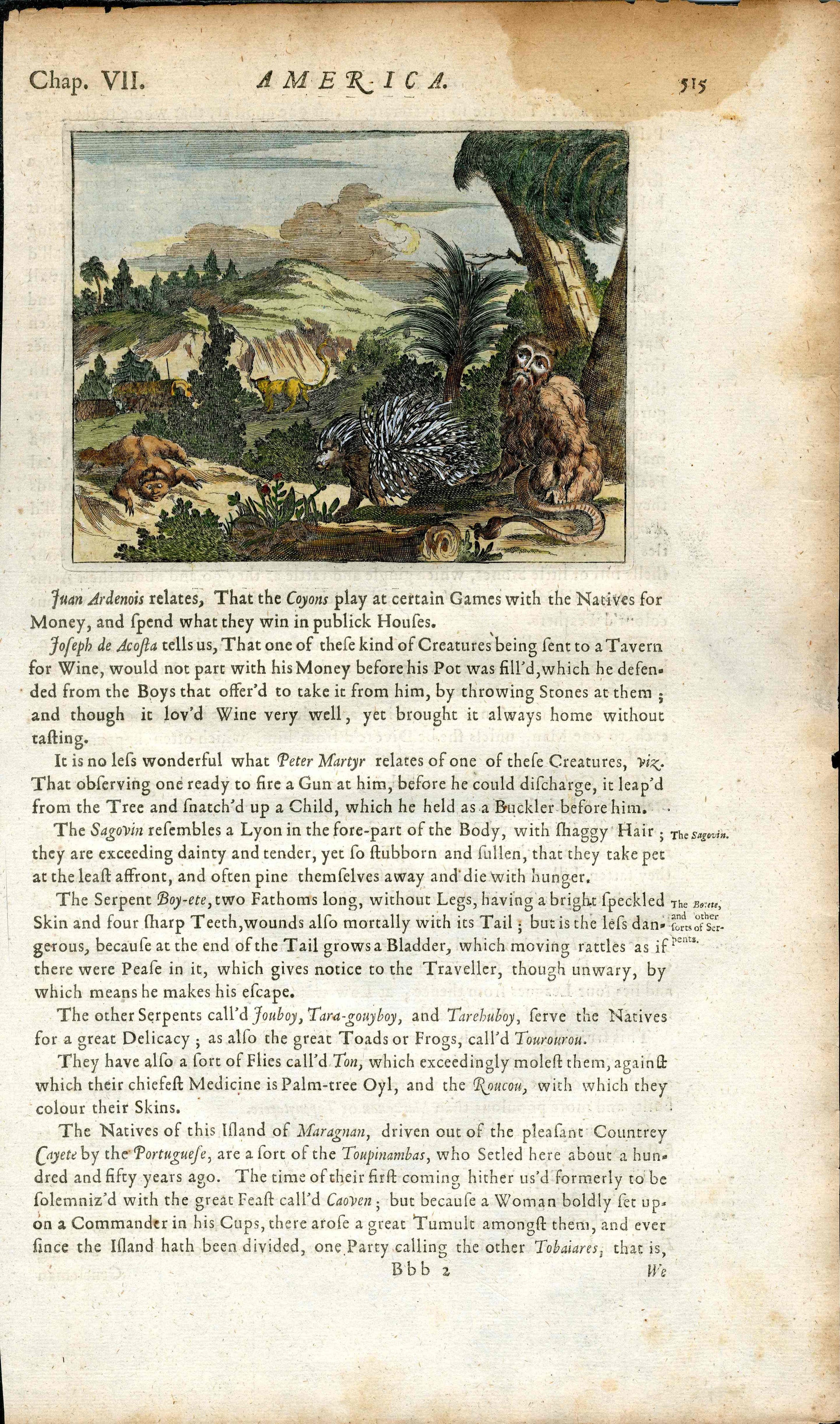 John Ogilby America 1671  Maragnan, Brazil Animals, Porcupine, Monkey