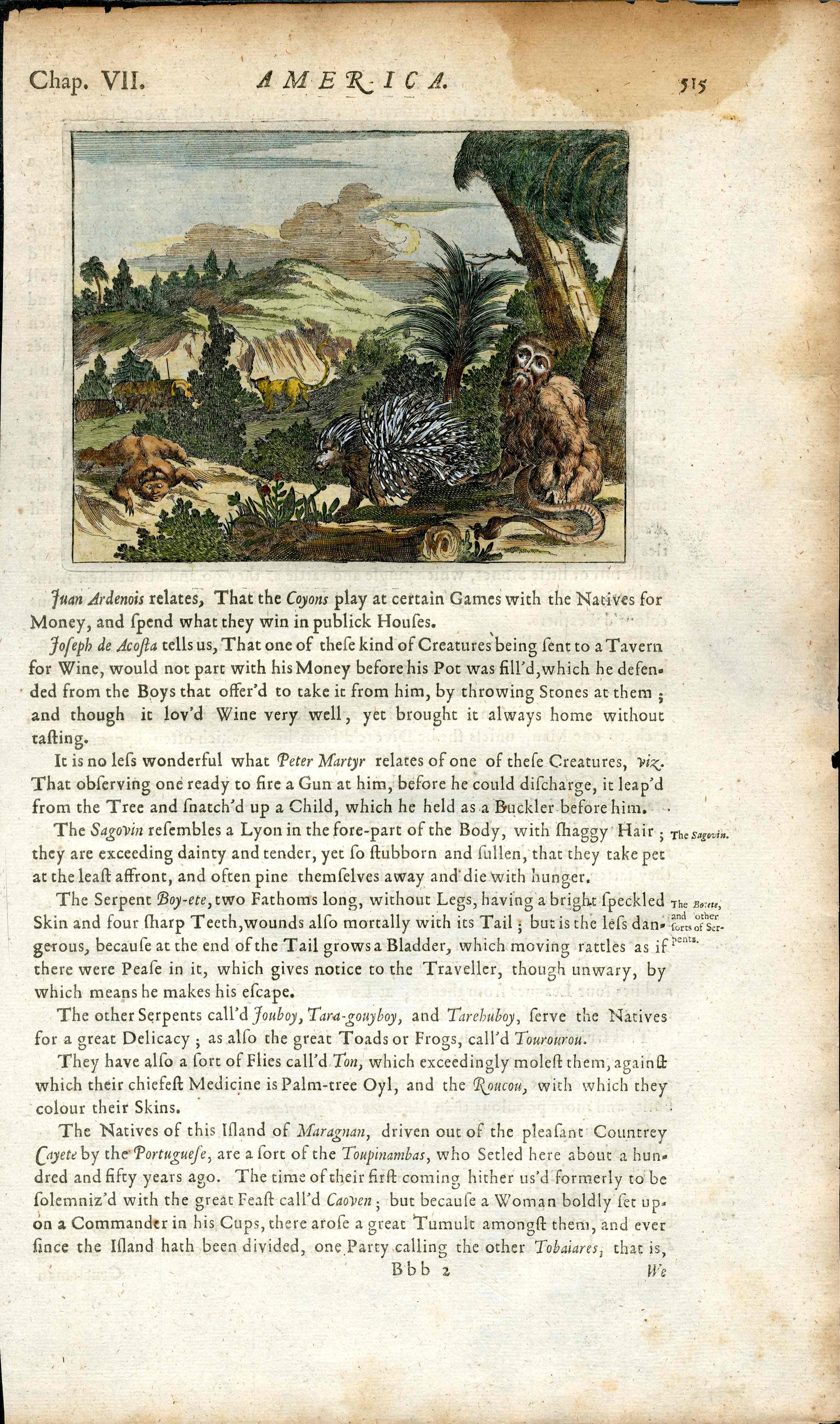 John Ogilby America 1671  Maragnan, Brazil Animals, Porcupine, Monkey - Panteek Antique Prints