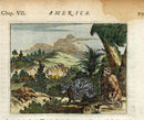 John Ogilby America 1671  Maragnan, Brazil Animals, Porcupine, Monkey - Panteek Antique Prints
