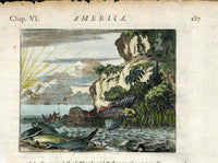John Ogilby America 1671  St Michael Brazil, Flying Fish Giant Pirarucu - Panteek Antique Prints