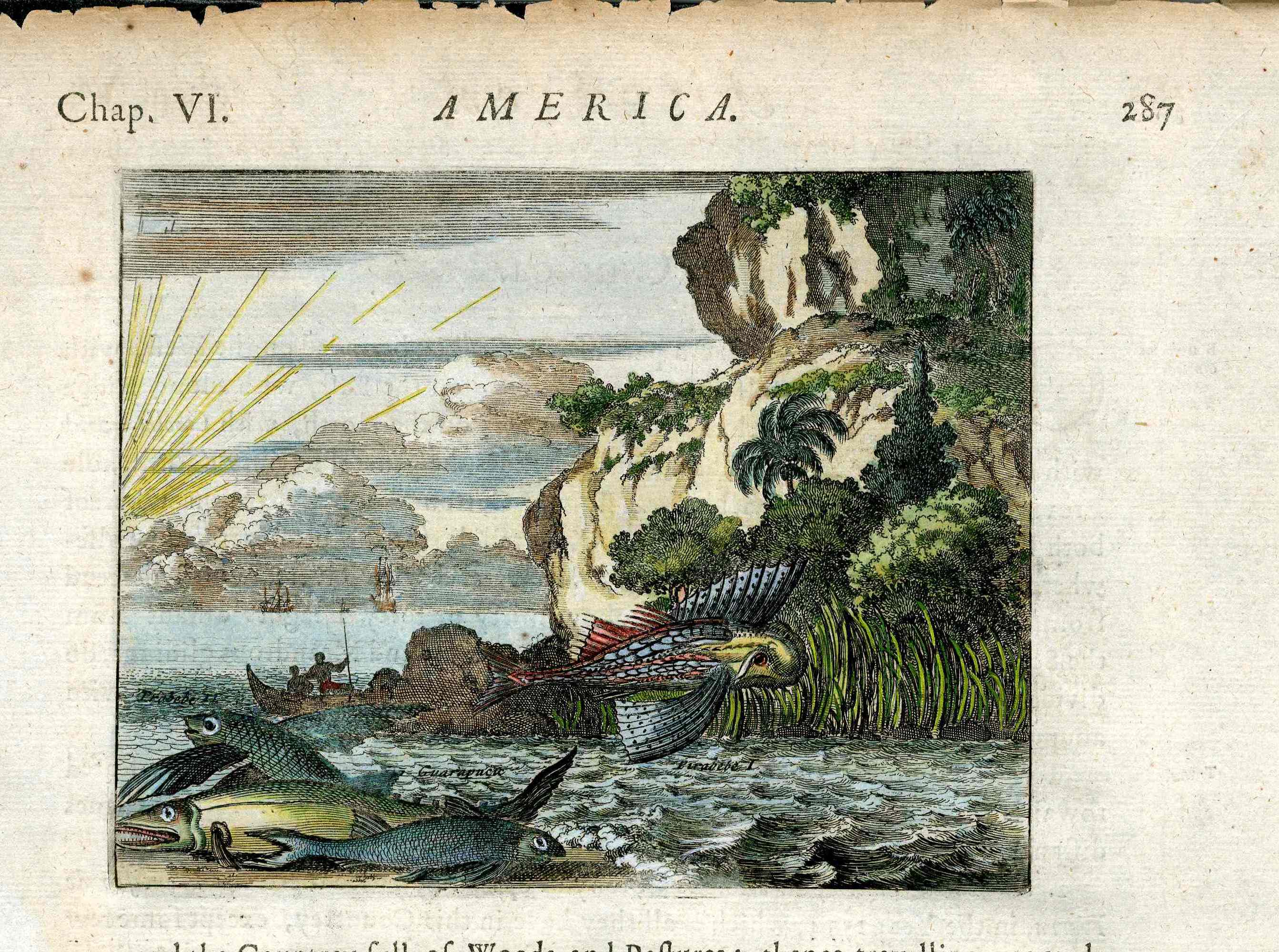 John Ogilby America 1671  St Michael Brazil, Flying Fish Giant Pirarucu