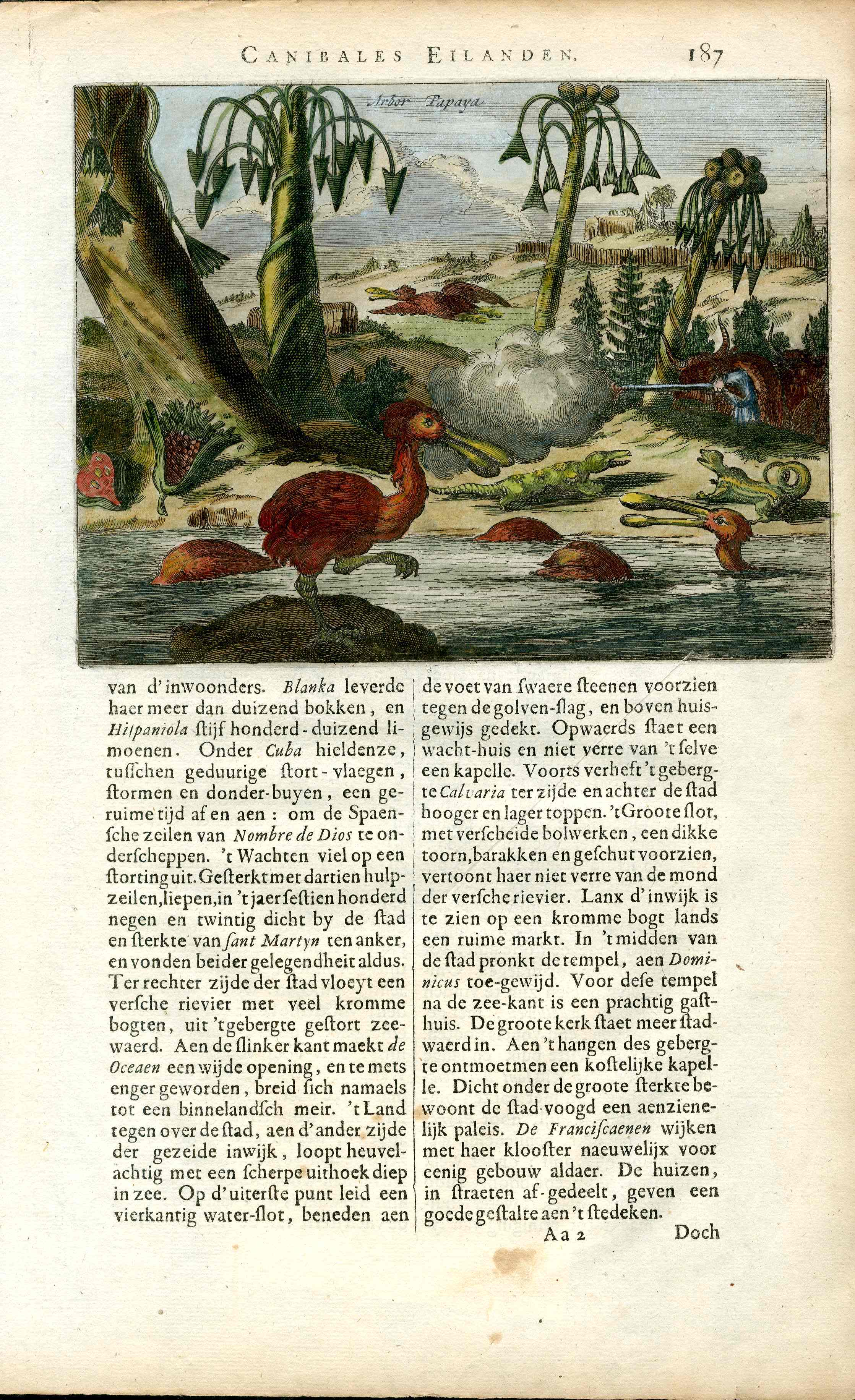 Montanus Original 1671 New World Cannibal Island,Gators,Spoonbill - Panteek Antique Prints