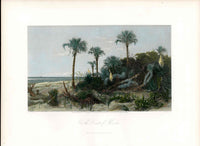 Picturesque American 1872 View Coast of Florida Original Print