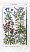 Parkinson Paradisi in Sole Herbals Beets, Chard