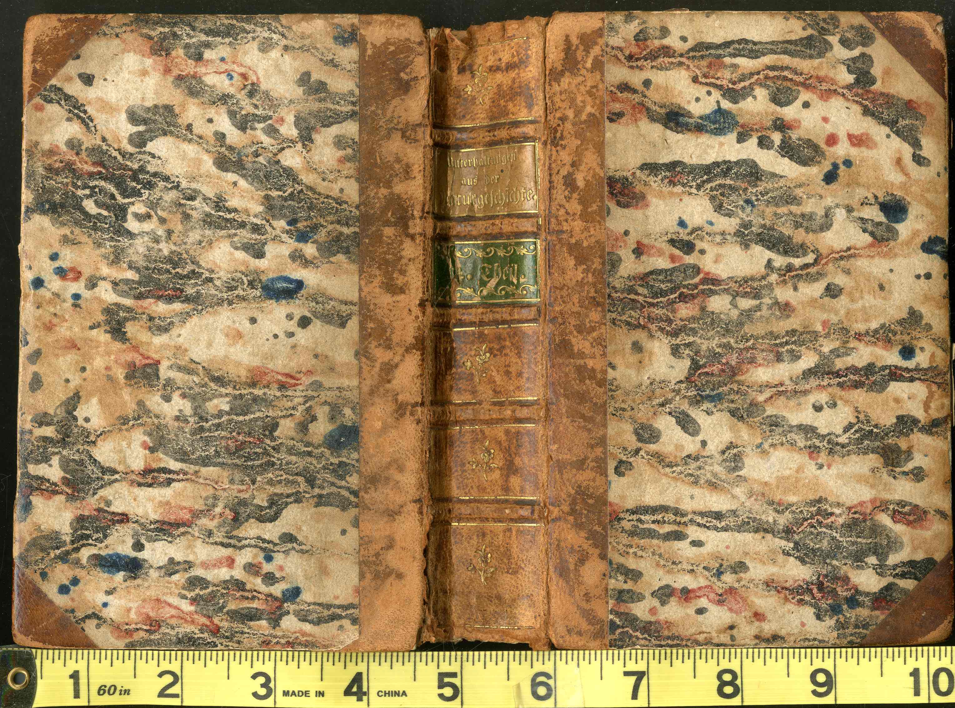 1810 Gottlieb Tobias Wilhelm Extinct Dodo Great Auk Original Natural History Volume