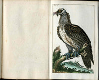 1810 Gottlieb Tobias Wilhelm Extinct Dodo Great Auk Original Natural History Volume