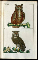 1810 Gottlieb Tobias Wilhelm Extinct Dodo Great Auk Original Natural History Volume