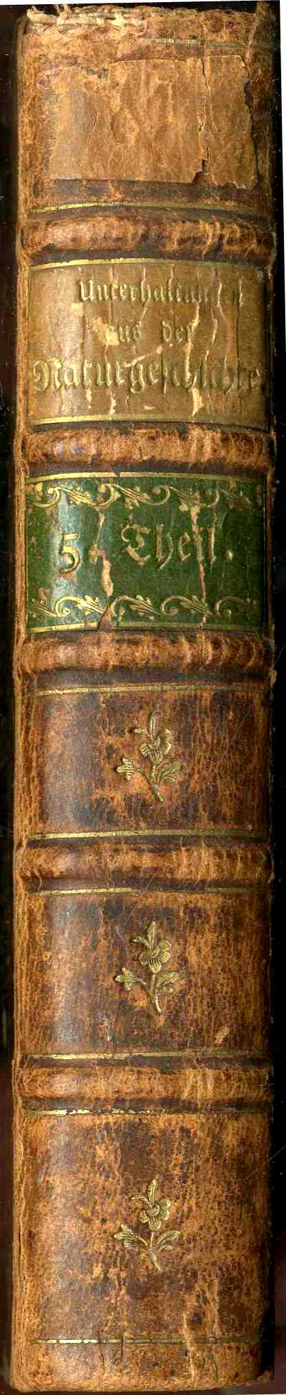 1810 Gottlieb Tobias Wilhelm Peacock Rooster Original Natural History Volume