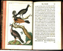 1810 Gottlieb Tobias Wilhelm Peacock Rooster Original Natural History Volume