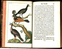 1810 Gottlieb Tobias Wilhelm Peacock Rooster Original Natural History Volume