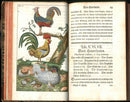 1810 Gottlieb Tobias Wilhelm Peacock Rooster Original Natural History Volume