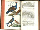 1810 Gottlieb Tobias Wilhelm Peacock Rooster Original Natural History Volume