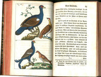 1810 Gottlieb Tobias Wilhelm Peacock Rooster Original Natural History Volume