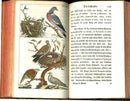 1810 Gottlieb Tobias Wilhelm Peacock Rooster Original Natural History Volume
