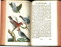 1810 Gottlieb Tobias Wilhelm Peacock Rooster Original Natural History Volume