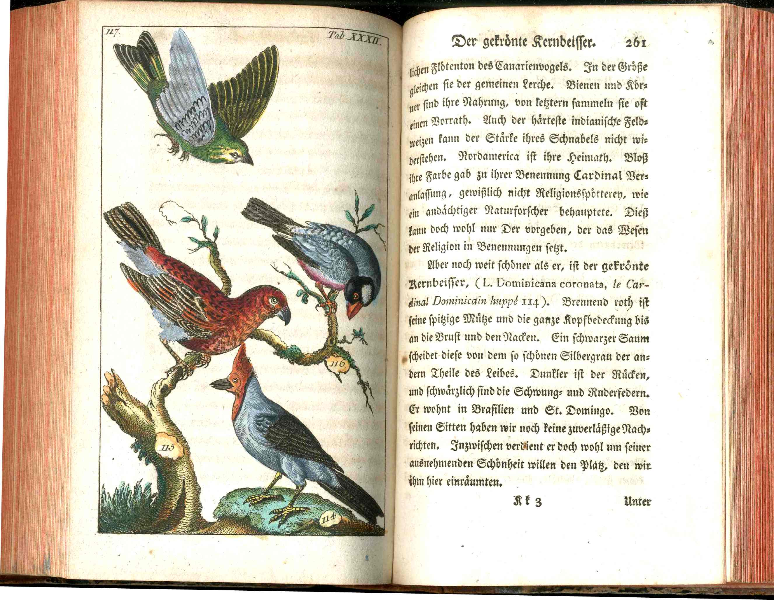 1810 Gottlieb Tobias Wilhelm Peacock Rooster Original Natural History Volume