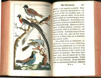 1810 Gottlieb Tobias Wilhelm Peacock Rooster Original Natural History Volume