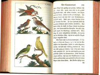 1810 Gottlieb Tobias Wilhelm Peacock Rooster Original Natural History Volume