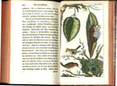 1810 Gottlieb Tobias Wilhelm Peacock Rooster Original Natural History Volume