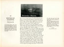 Rex Brasher Birds America 1930 1st Edition Print Whiterump Sandpiper - Panteek Antique Prints